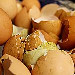 5 čudežih uporab jajčnih lupin