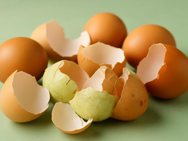 Jajčna lupina: odpadek, ki ga je škoda vreči stran
