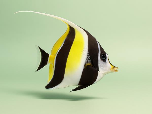 Morska voda kot zdravilo? Kaj pravi praksa in zakaj je tema tako sporna