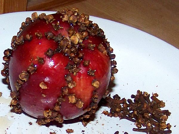 Piknik brez muh: stari kuhinjski trik, ki ga insekti sovražijo
