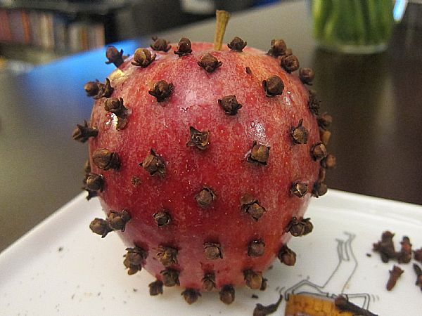 Piknik brez muh: stari kuhinjski trik, ki ga insekti sovražijo