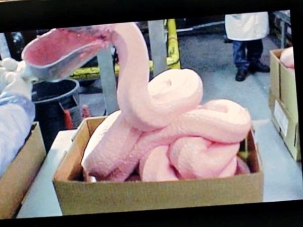 Iz česa so narejeni mcdonaldsovi chicken nuggets?