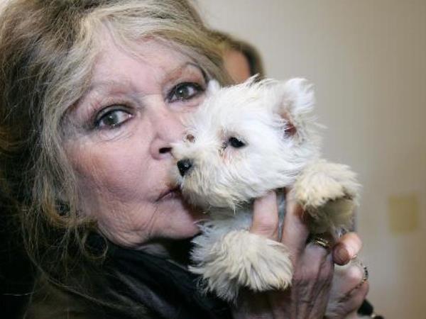 Skrivnost francoskih ženskih gub