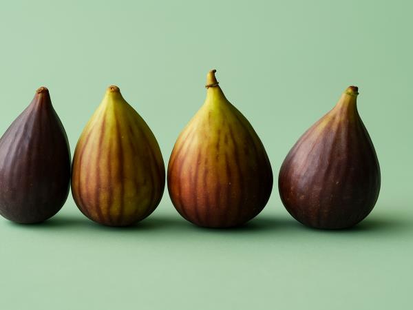 Kaj zdravi jetra in kosti ter znižuje holesterol?