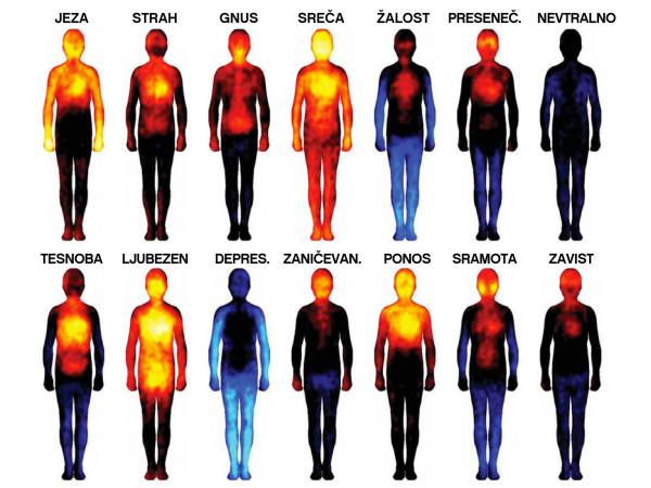 Zemljevid, kako čustva vplivajo na zdravje