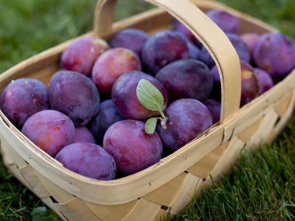 Sadje, ki premaguje ogljikove hidrate