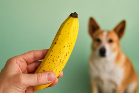 Kaj se vam lahko zgodi, če jeste preveč zrele banane?