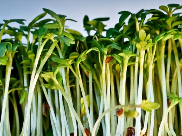 Brezžični internet zavira krešo. In ne samo to!