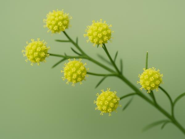 Znanstvena fantastika: res ozdravi raka v 16 urah?