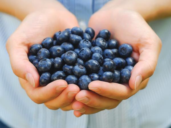 Borovnice napredovale iz super v čudežno živilo