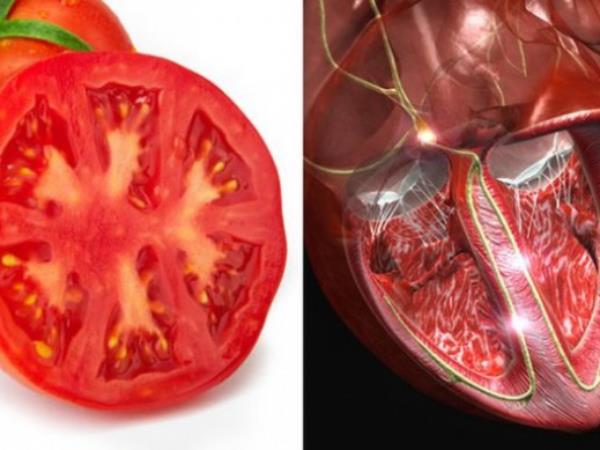 Ali podobnost res zdravi?