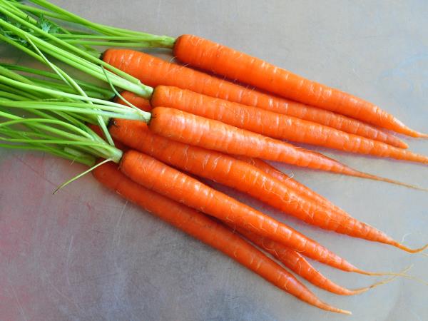 Kje najdemo karotene in za kaj so dobri