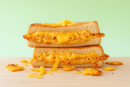 Koliko sira je še zdravo pojesti na dan?