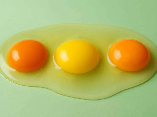 Po barvi rumenjaka lahko ugotovite zdravje kokoši