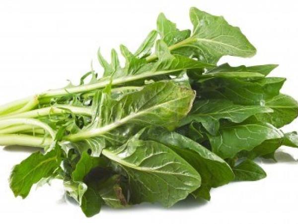 Zakaj nutricionisti prisegajo na blitvo: zelenjava, ki ščiti možgane, vid in kosti hkrati