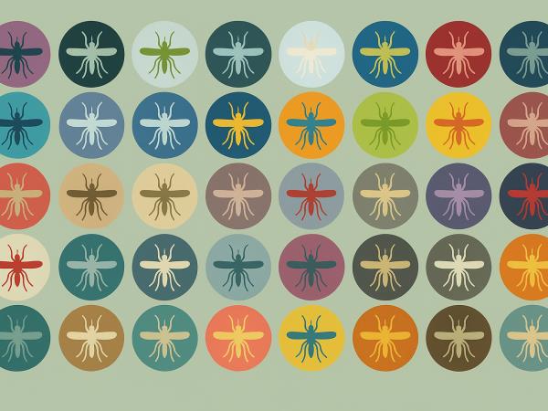 5 naravnih odganjalcev komarjev za mirnejši dom