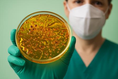 Domače zdravilo proti MRSA, ki je osupnilo zdravnike