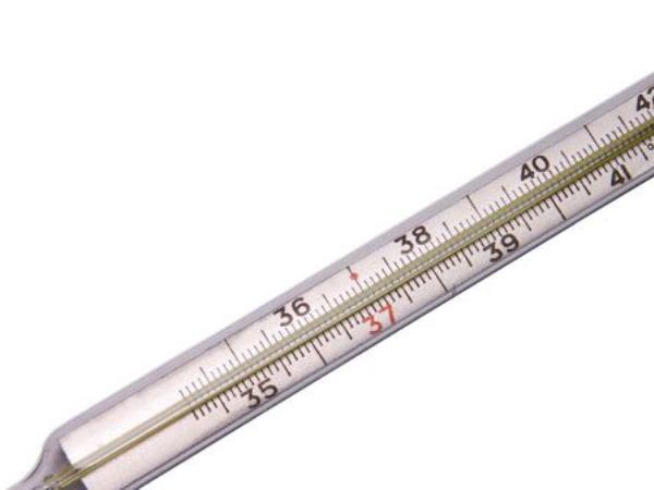 Skrita temperatura, ki odloča o tem, koliko hranilnih snovi dejansko dobi vaše telo