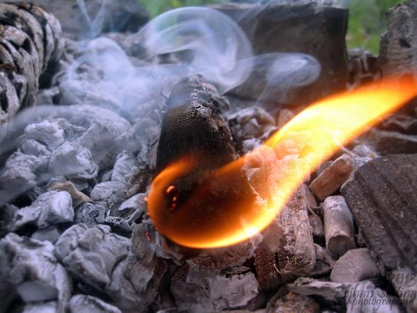 Lubenica na žaru in še 2 živili so na žaru presenetljivo boljše - in še bolj zdrave