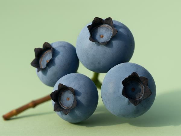 Z borovnicami nad pivski trebuh