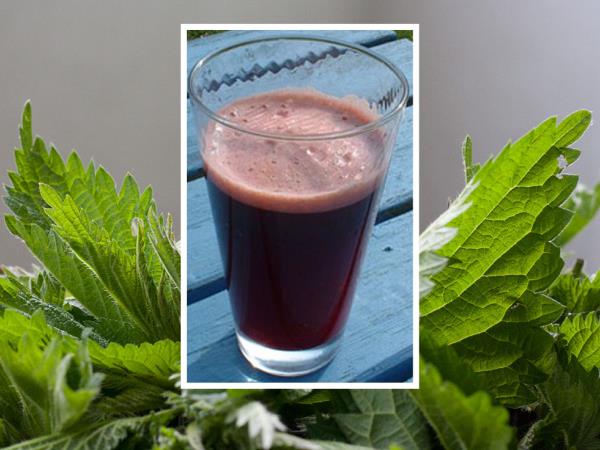 Pijača iz koprive, jabolka, pese in brokolija: narava v kozarcu, ki jo je sodobna medicina nehote pozabila
