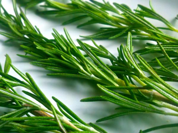 Sevanja vseh vrst nas ubijajo