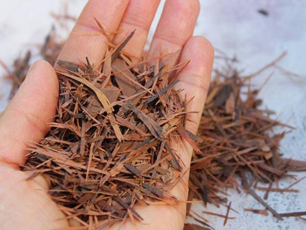 Čudež iz borovega lubja