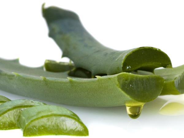 Recept, ki je stresel farmacevtsko industrijo