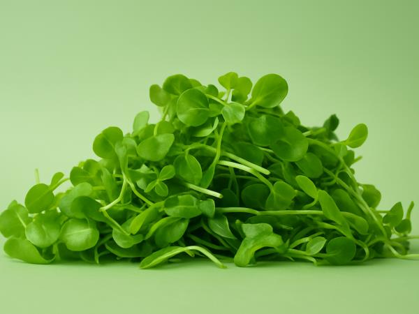 Skoraj pozabljena rastlina, ki je najbolj zdrava med vso zelenjavo