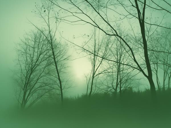 Jesenska depresija je vse večji problem. Kako se boriti proti njej?