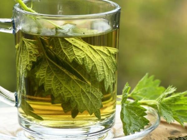 Česa se boji kandida