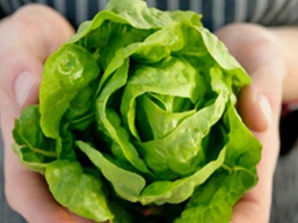 8 adutov zelene solate za boljše zdravje