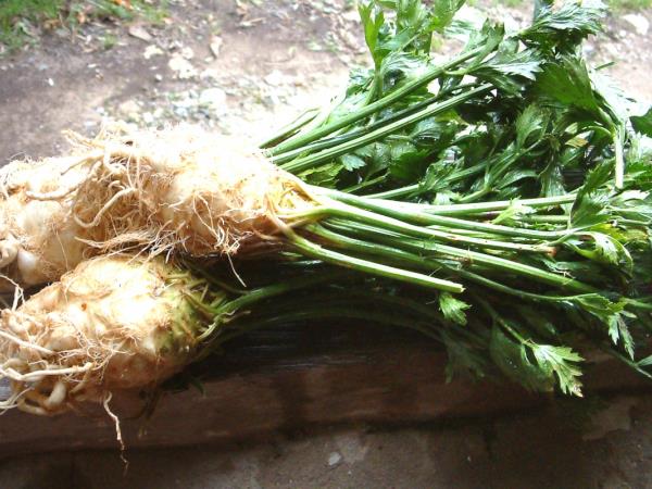 Zakaj je pomembno zdraviti trigliceride