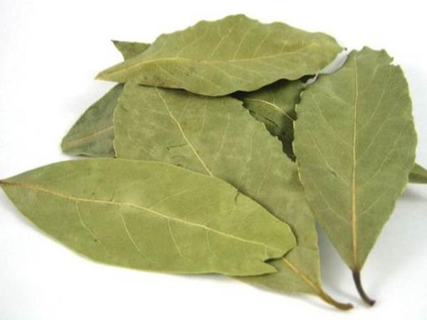 Začimba, pri kateri smo zaradi razširjenosti pozabili na njeno zdravilno moč