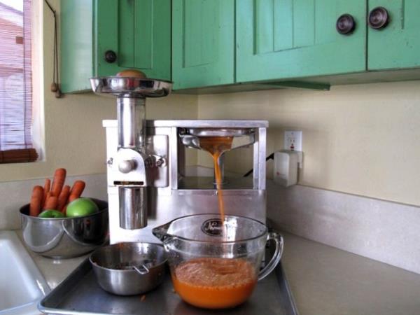 Zdravljenje z Gersonovo metodo