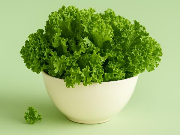 Najzahtevnejše čiščenje organizma ali kako se znebiti težkih kovin