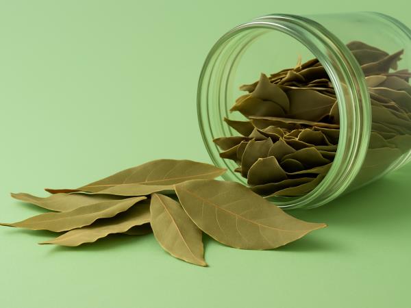 Kako se znebiti metuljev v shrambi