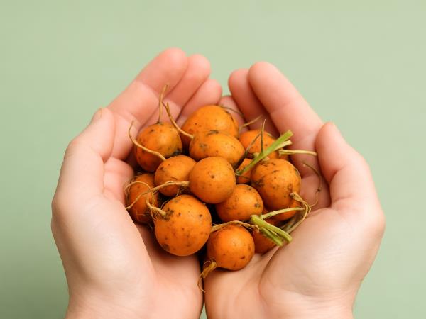 Razmislite še enkrat o zimskem vrtičku na kuhinjski polici