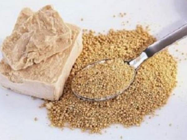 Zakaj bi morali pozimi vsak dan jesti pivski kvas