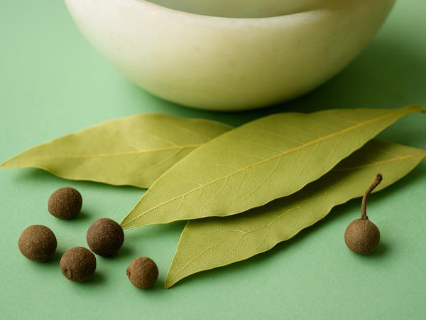 Kaj narediti, da se vas bodo žuželke izogibale že na daleč?