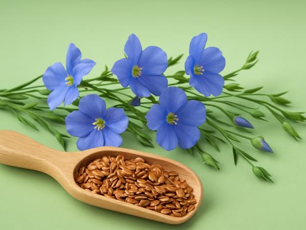 Žlica narave v kozarcu vode: zakaj nutritivisti prisegajo na jutranje laneno seme