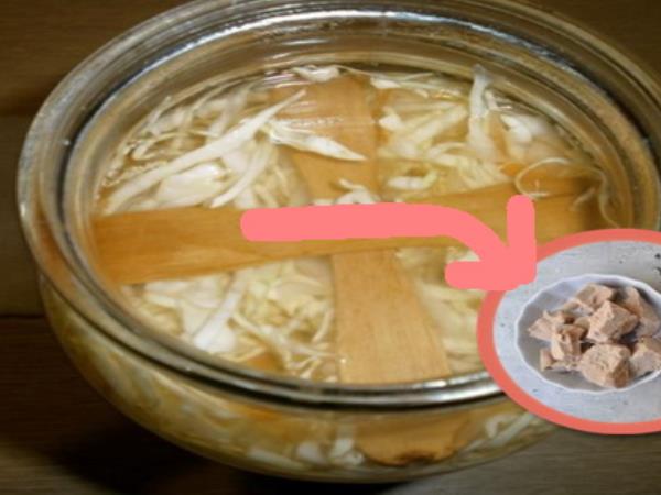 Dajte kvas v zelje - rezultat je izjemen