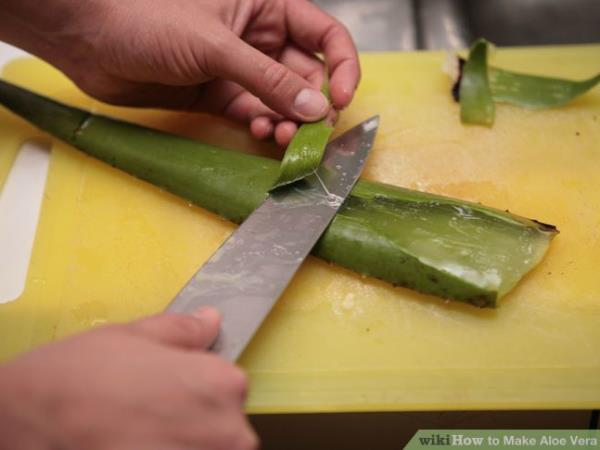 Sok iz rastline nesmrtnosti