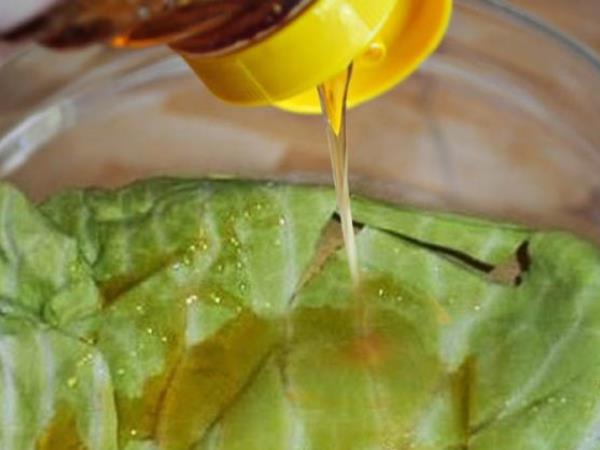 Z zeljem in medom proti kašlju in bronhitisu