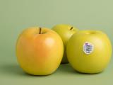 Kakšna je razlika med rdečimi in zlatimi jabolki?