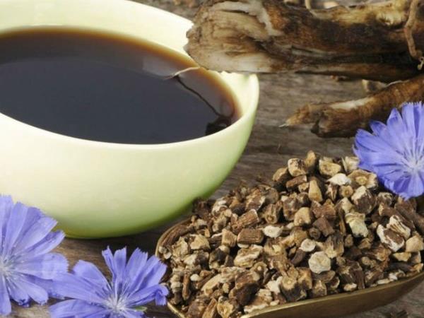 Ali poznate fantastično moč cikorije