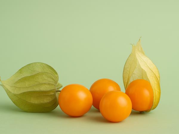 Majhen zaklad, ki zdravi raka želodca, črevesja ...