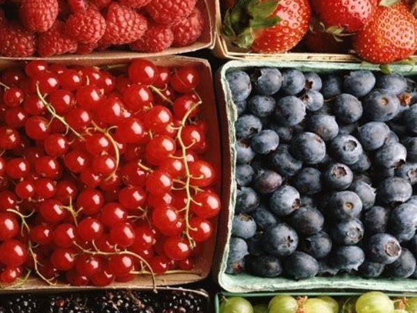 7 živil ob katerih boste pozabili na lakoto