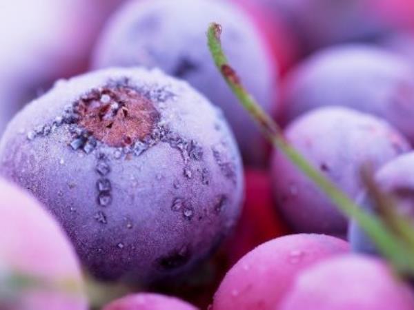 Poznate prednosti vijolične zelenjave in sadja?