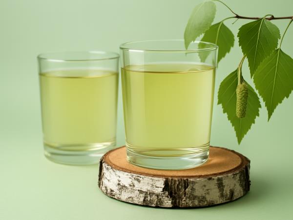 Zakaj bi spomladi morali piti samo brezov čaj?